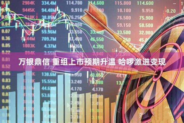 万银鼎信 重组上市预期升温 哈啰激进变现