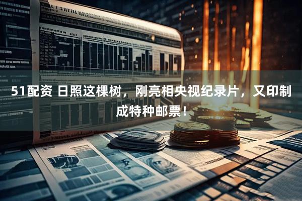51配资 日照这棵树，刚亮相央视纪录片，又印制成特种邮票！