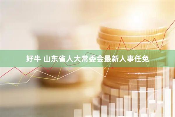 好牛 山东省人大常委会最新人事任免