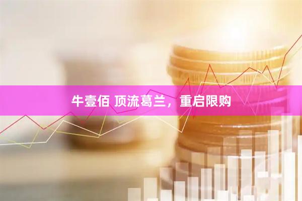 牛壹佰 顶流葛兰，重启限购