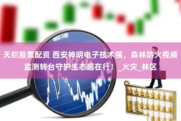 天织股票配资 西安神明电子技术强，森林防火视频监测转台守护生态超在行！_火灾_林区