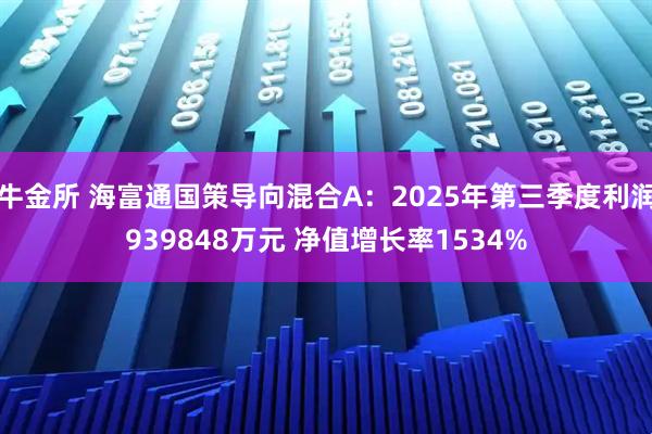 牛金所 海富通国策导向混合A：2025年第三季度利润939848万元 净值增长率1534%