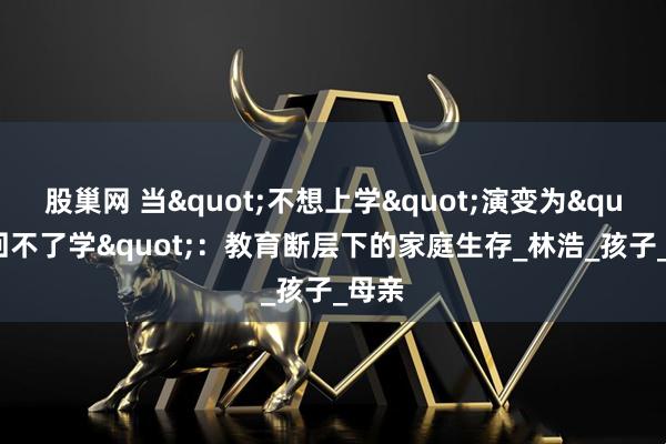 股巢网 当"不想上学"演变为"回不了学":教育断层下的家庭生存_林浩_孩子_母亲