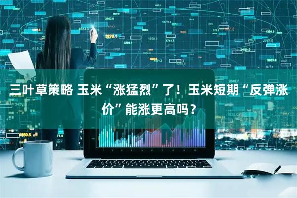 三叶草策略 玉米“涨猛烈”了!玉米短期“反弹涨价”能涨更高吗?